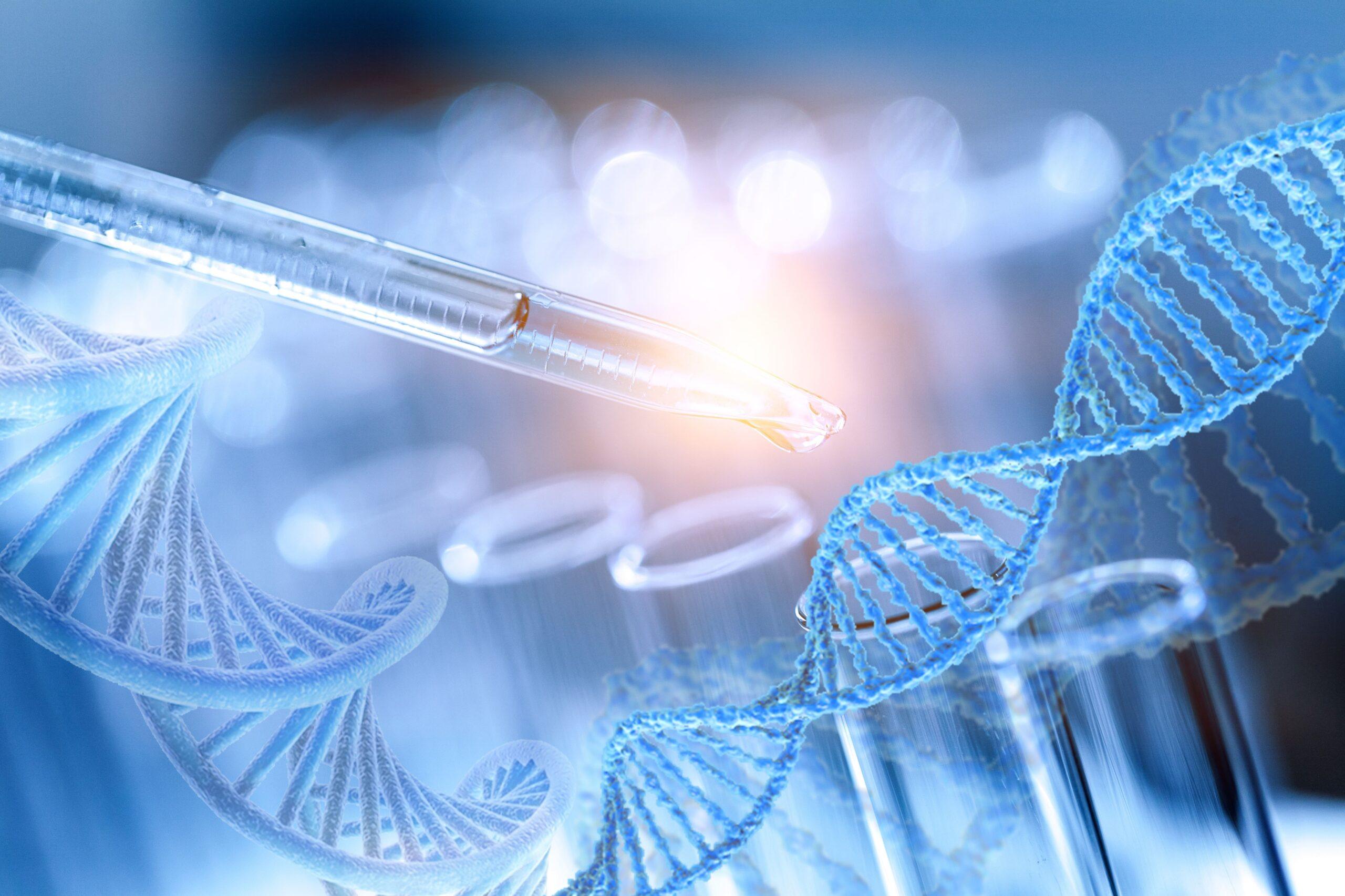 AdobeStock 285321954 min scaled