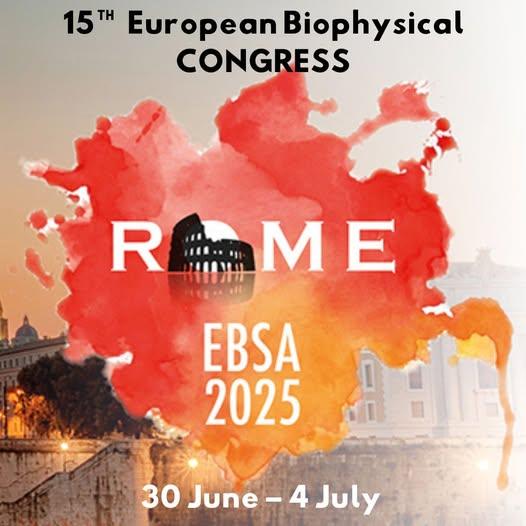 486796720 650054704440073 4081296791959933484 n